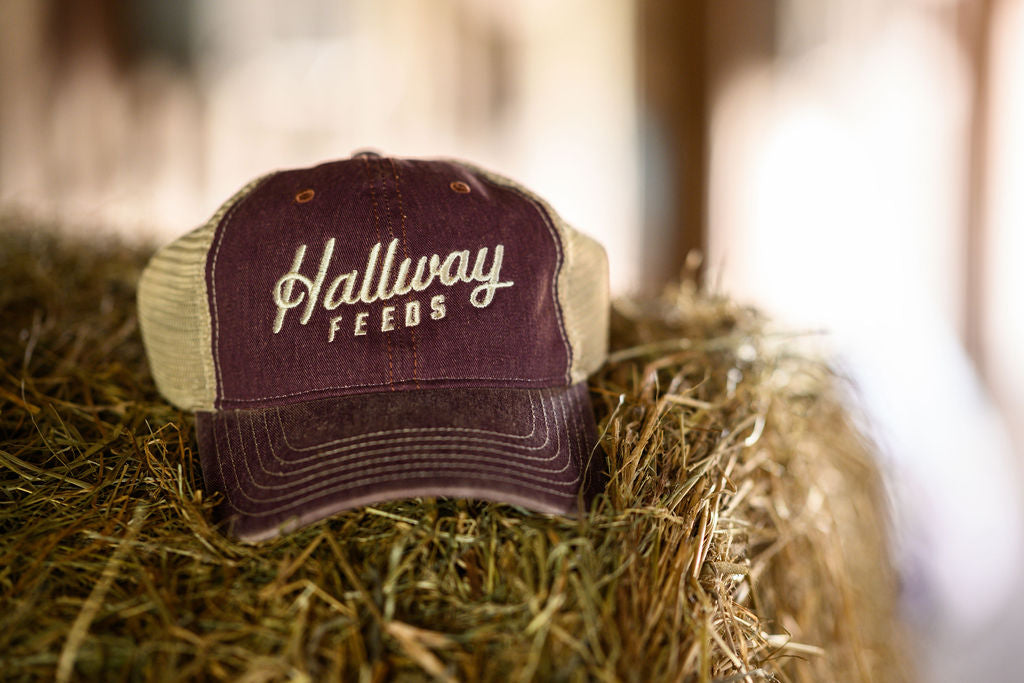Maroon Hallway Feeds script hat